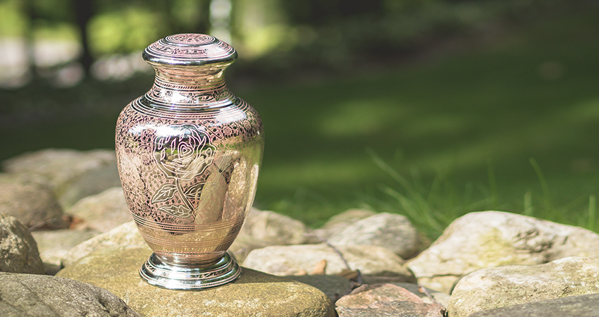 Callia Pink Rose Urn